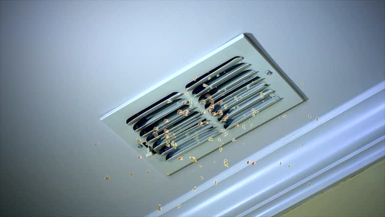 Best Affordable Duct Cleaning Services  in Willow Grove, TX