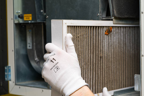 Best Ductwork Cleaning Services  in Willow Grove, TX