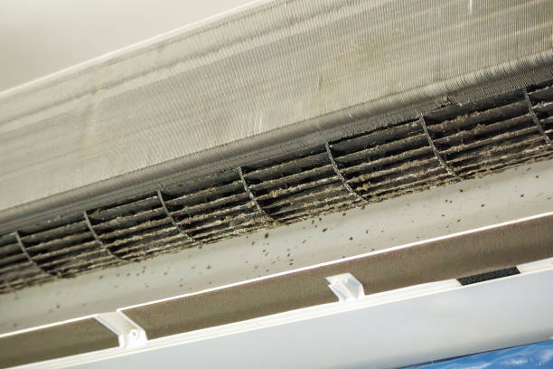 Best Affordable HVAC Duct Cleaning  in Willow Grove, TX