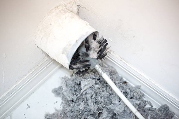 Best Affordable Air Duct Cleaning  in Willow Grove, TX